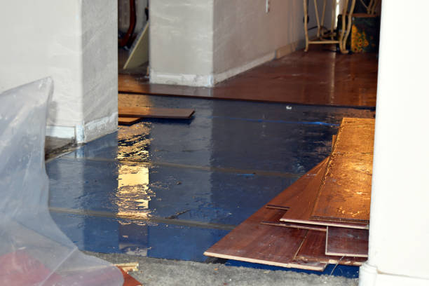 Professional Water Damage technician working in Alpine, NJ